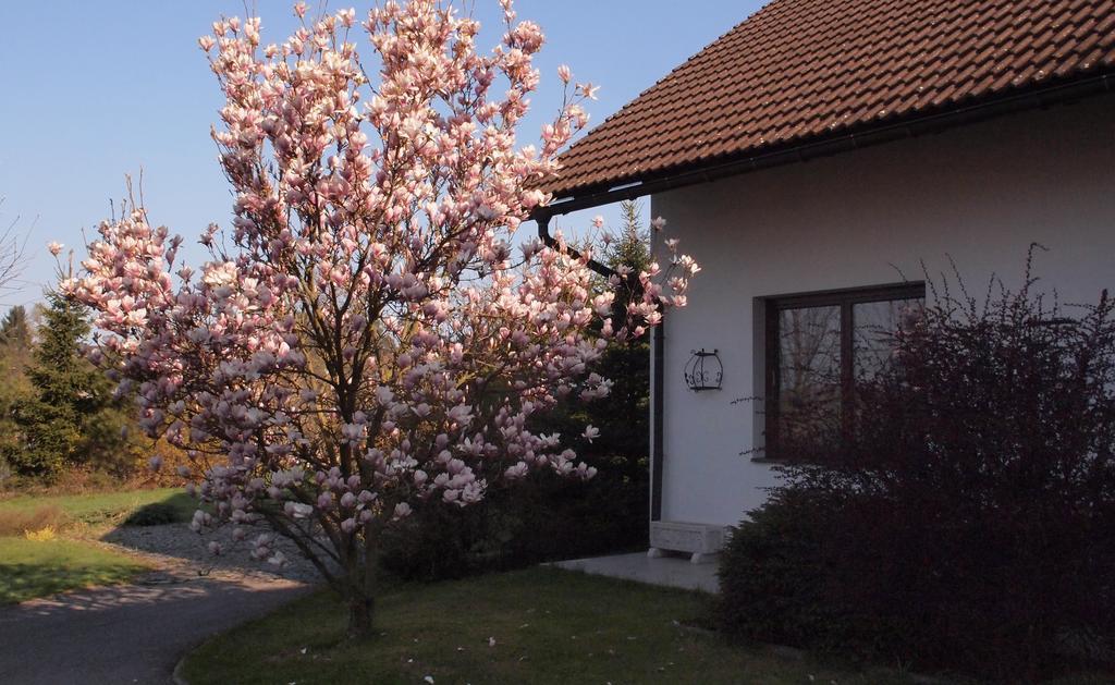 Apartmany Pod Kozakovem Tatobity Екстериор снимка